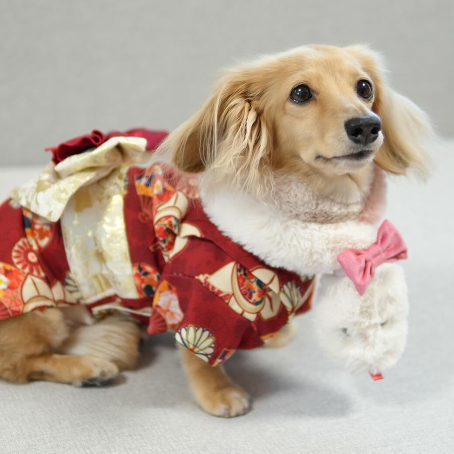 iDog ワンダフルセール 50%OFF 犬 服 ぐるぐるへびマフラー アイドッグ