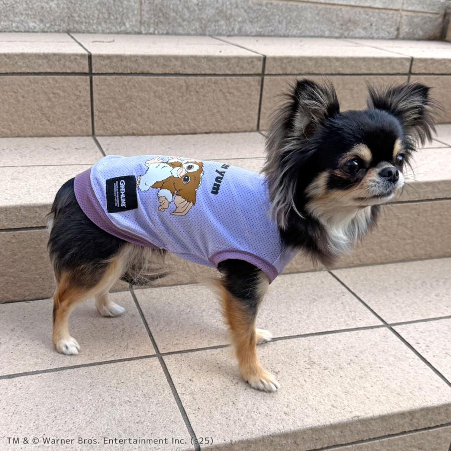 iDog 犬 服 COOL+MOSCAPE GREMLINSギズモのメッシュタンク アイドッグ