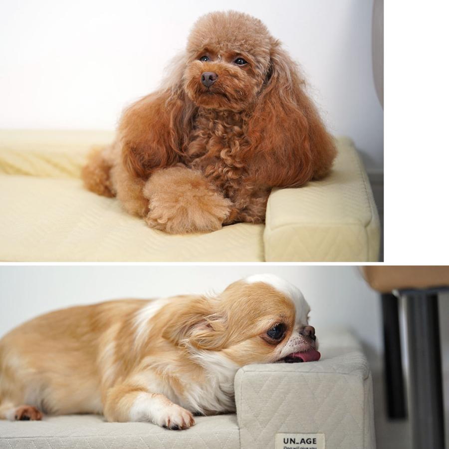 犬用品 IDOG&ICAT UNAGE アンエイジ 体圧分散シニアローベッド カドラータイプ専用カバー 撥水・防水キルト Sサイズ | iDog | 05
