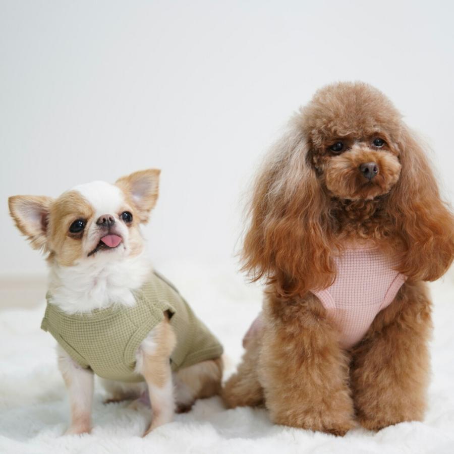 iDog UNAGE ウェルネスウェア アイドッグ　犬服　日本製　5枚セット iDog 犬 服 UNAGE ウェルネスウェア 寝たまま着れる介護服 アイ