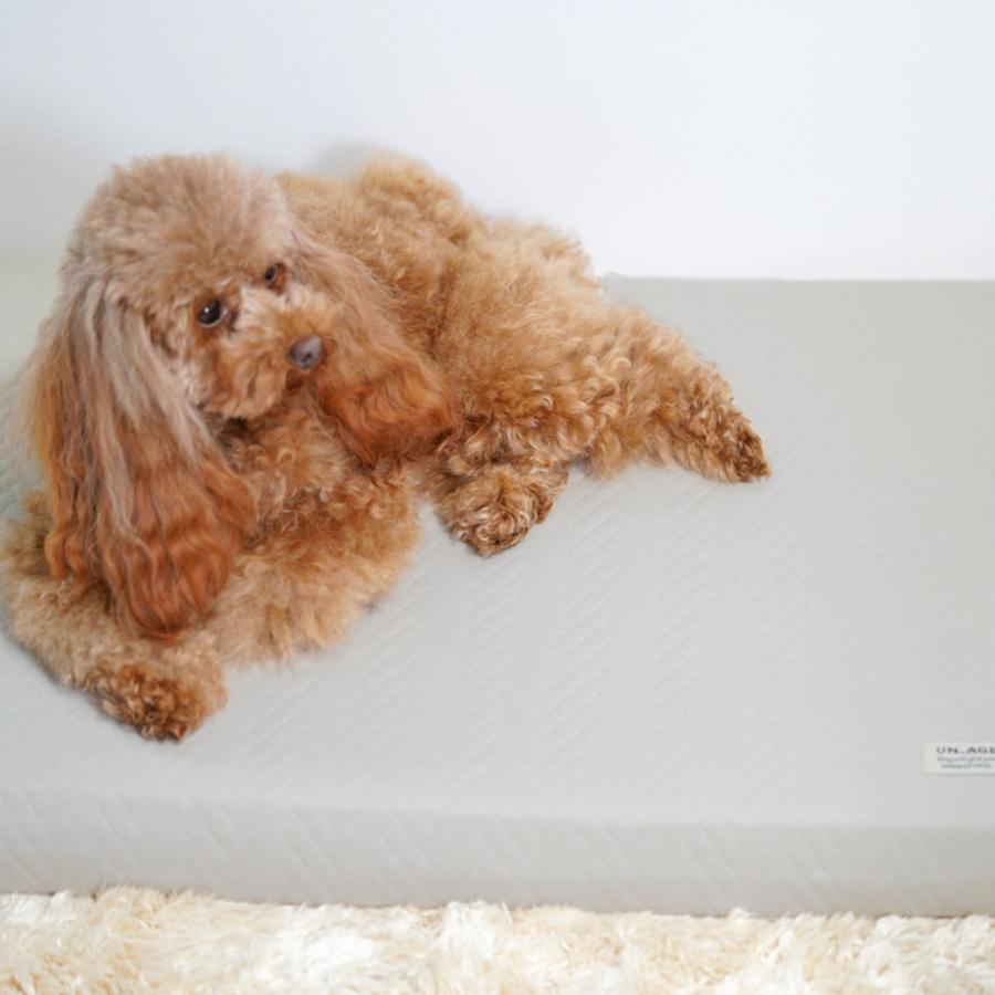IDOG&ICAT UNAGE アンエイジ エアーメッシュマットレス専用カバー 防水キルト Mサイズ アイドッグ | iDog | 03
