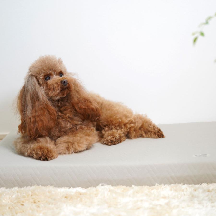 IDOG&ICAT UNAGE アンエイジ エアーメッシュマットレス専用カバー 防水キルト Mサイズ アイドッグ | iDog | 07