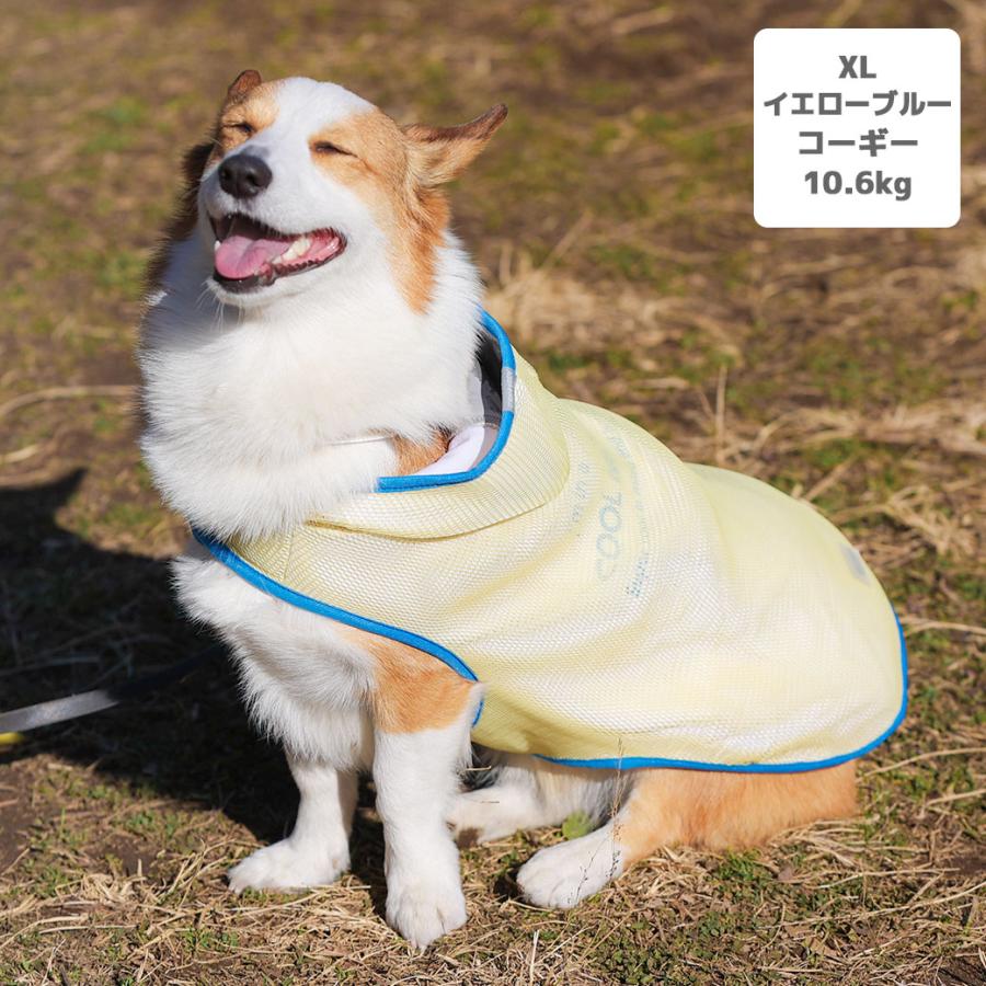 iDog AQUAHOLDセール 15%OFF AQUA HOLD ひえひえ冷却中 愛犬用クール