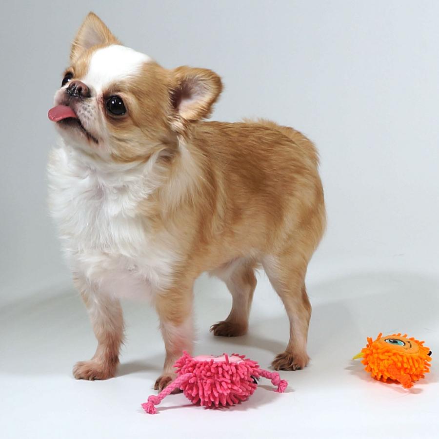 iDog ワンダフルセール 15%OFF Monster もけもけモンスター 鳴き笛入り
