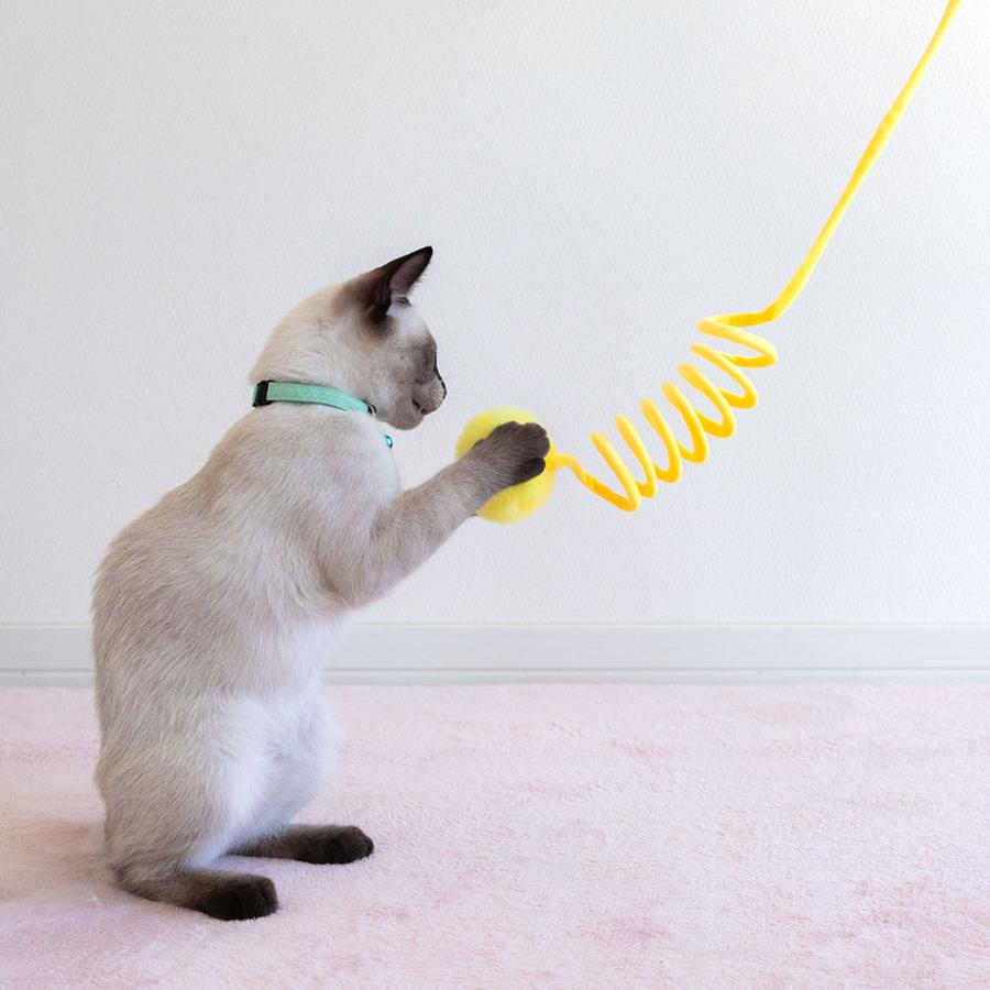 iDog 猫 おもちゃ iCat 吊り下げびよよんじゃらし アイドッグ : iDog