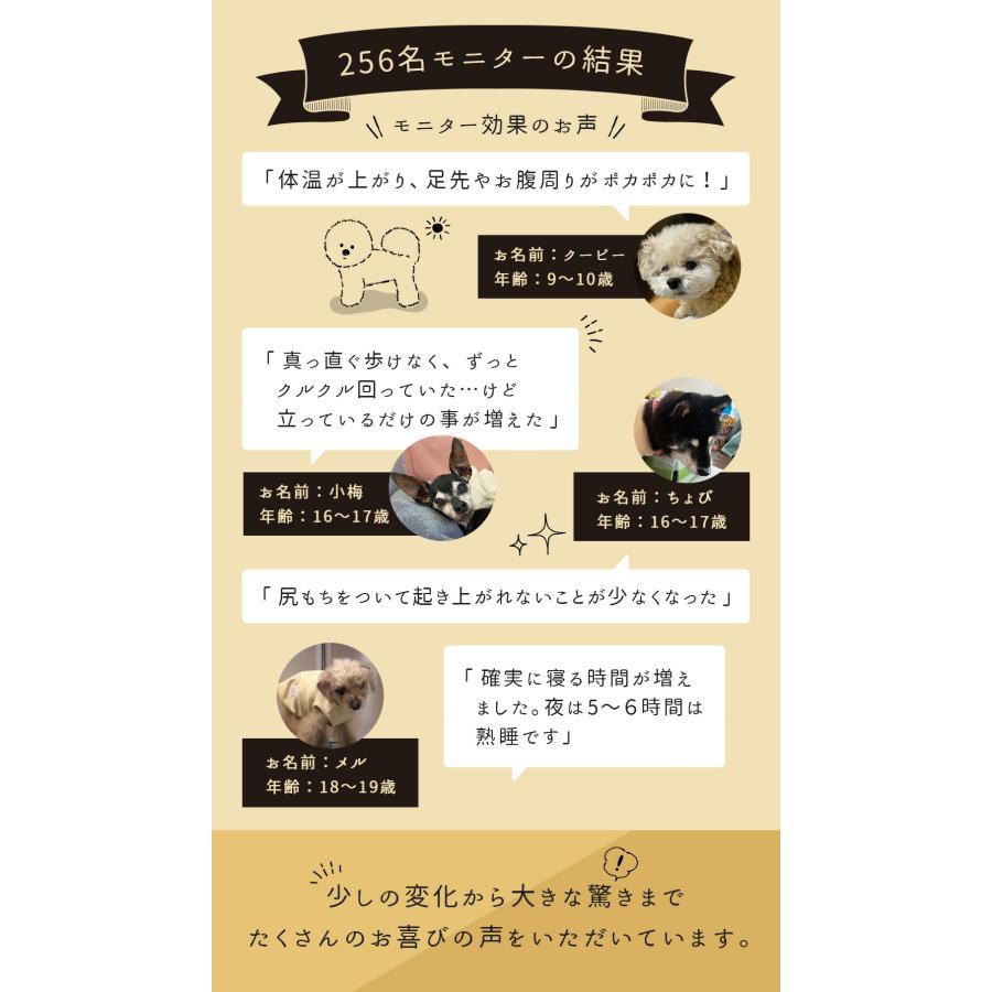 iDog 犬 服 UNAGE_JUGEM 背中開きつなぎ アンエイジ ジュゲム アイ