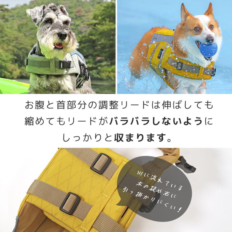 【いきむ犬】希少ゴールド いきむ犬】希少ゴールド いきむ犬】希少ゴールド いきむ犬】希少