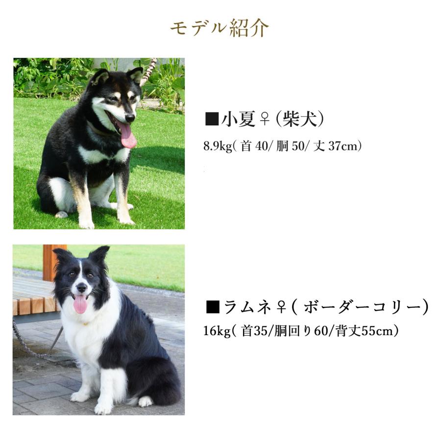 iDog TREKNINE ウエストショルダーリード アイドッグ