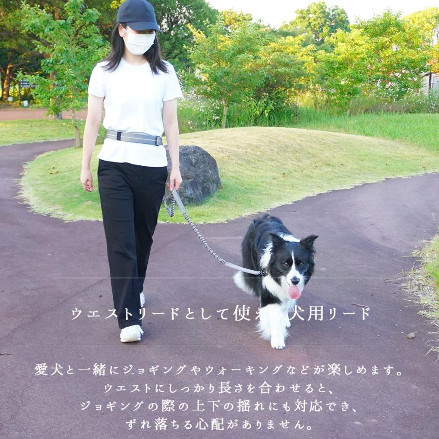 iDog TREKNINE ウエストショルダーリード アイドッグ