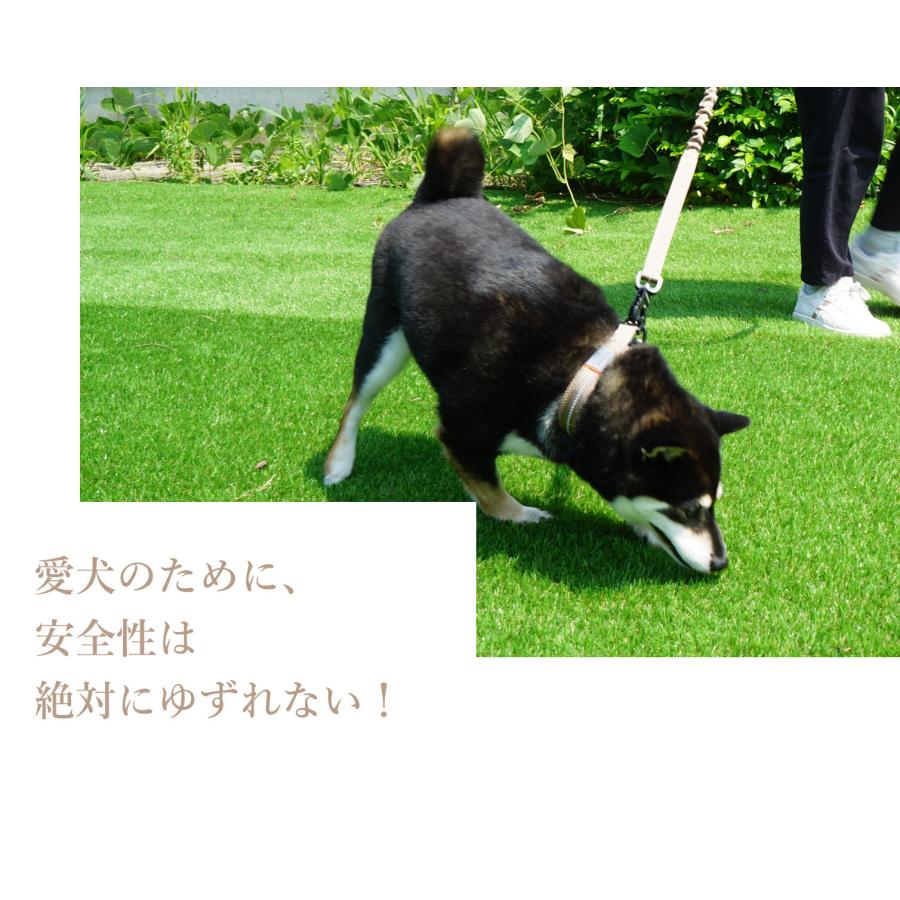 iDog TREKNINE ウエストショルダーリード アイドッグ