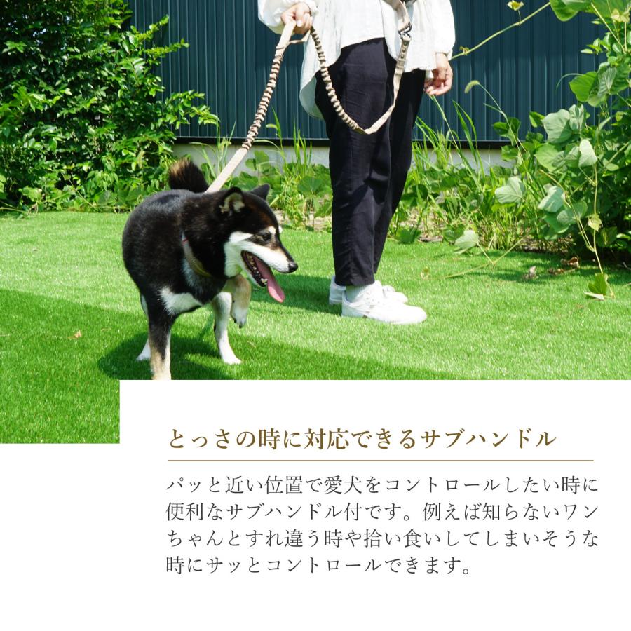 iDog TREKNINE ウエストショルダーリード アイドッグ