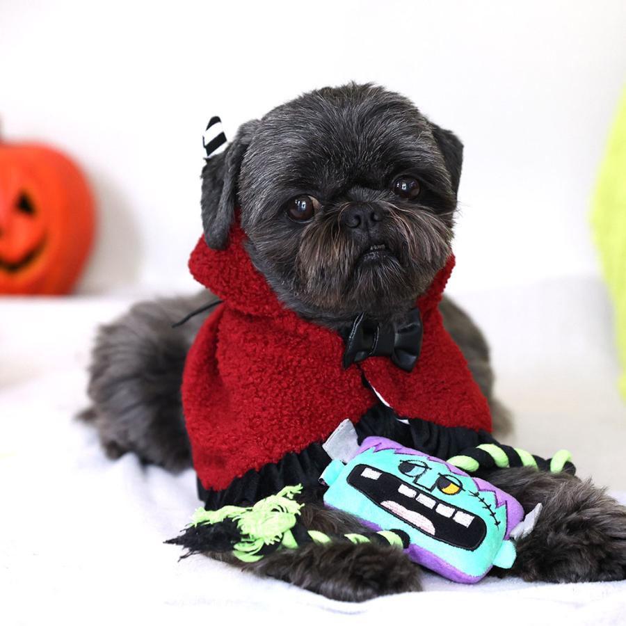 iDog 犬 おもちゃ Monster ロープトイ スマイルモンスター 鳴き笛入り
