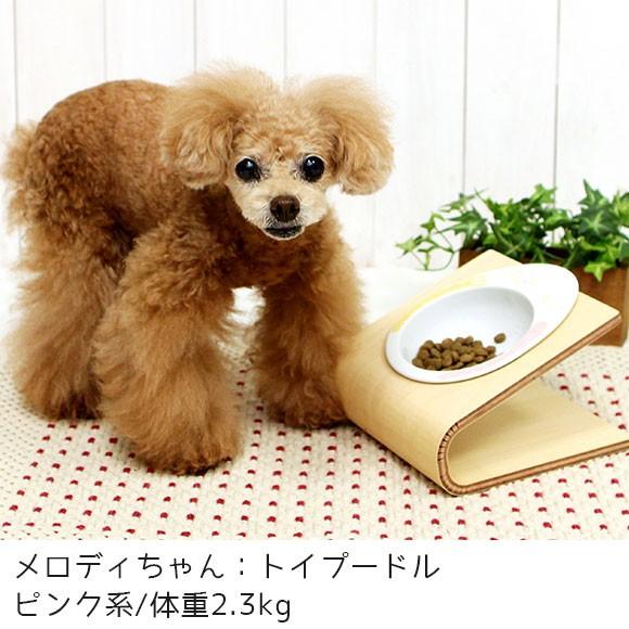 犬用食器 IDOG&ICAT ドゥーエッグフードボウル スマイルランチ｜idog｜11