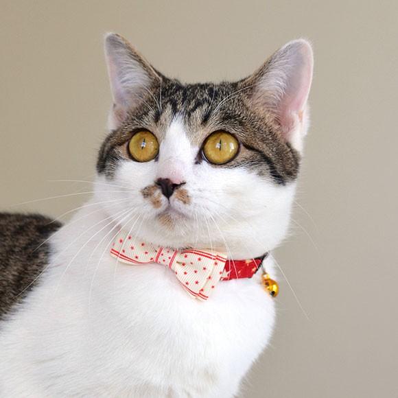 iDog 猫 首輪 キティカラー ランダムスター×スターリボン iCat アイ
