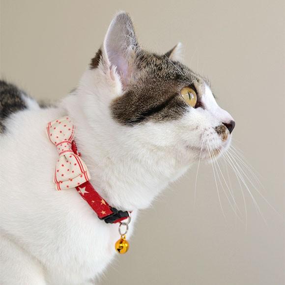 iDog 猫 首輪 キティカラー ランダムスター×スターリボン iCat アイ