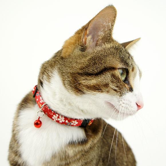 【くるねこさん専用】アイレットレース　オールインワン【新品未使用・タグ付き】 チュールレイヤードオールインワン | miette