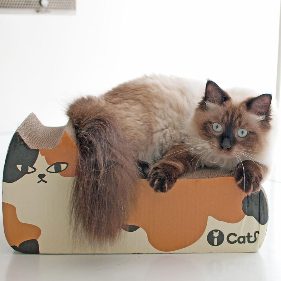 iDog 猫用品 爪 とぎ みがき iCat つめとぎ ミケねこ ラッピング