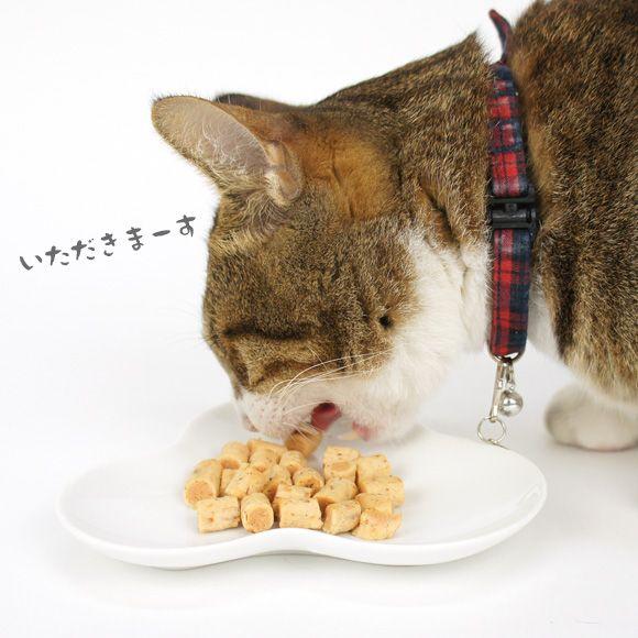 キャットフード 猫おやつ いなば とびつく 焼かつお メール便OK : iDog