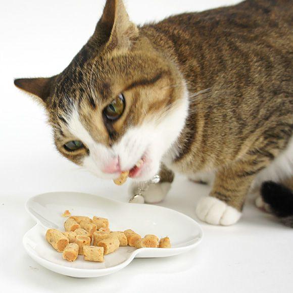 フード・おやつ kana@news Nakau's morning XX has been reduced in price! A chain