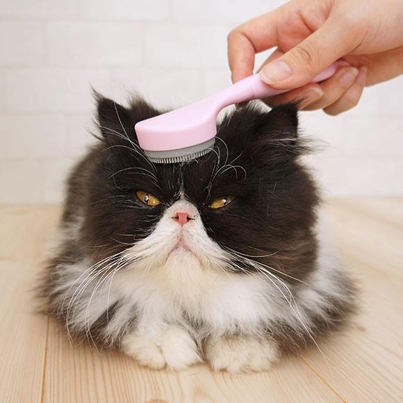猫用トリミンググッズ 猫舌とろん Cat Ty Ja021 Idog 通販 Yahoo ショッピング
