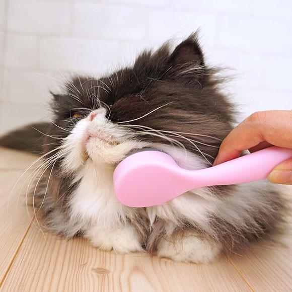 猫用トリミンググッズ 猫舌とろん Cat Ty Ja021 Idog 通販 Yahoo ショッピング
