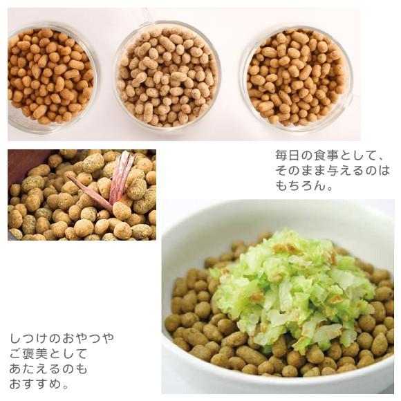 ドッグフード ドットわん 鶏ごはん お得用パック 3kg+国産おやつ付き ラッピング不可｜idog｜06