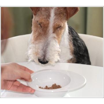 ドッグフード プリモ PRIMO ダイエットシニア 3kg 2025年4月購入 ドッグフード プリモ PRIMO ダイエットシニア 3kg×3 まとめ買い