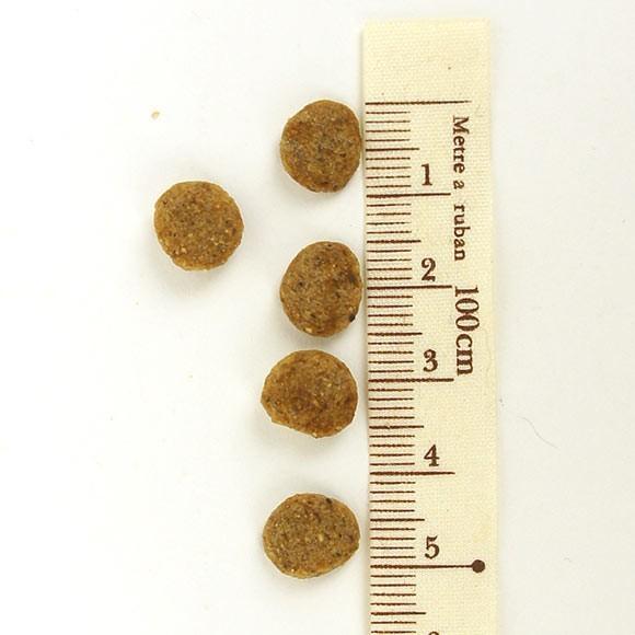 SELECT BALANCE ドッグフード セレクトバランス エイジングケア チキン