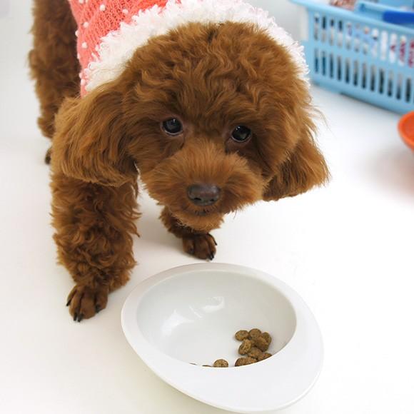 SELECT BALANCE ドッグフード チキン 7kg 楽天市場】セレクトバランス アダルト チキン 小粒 7kg 成犬 1