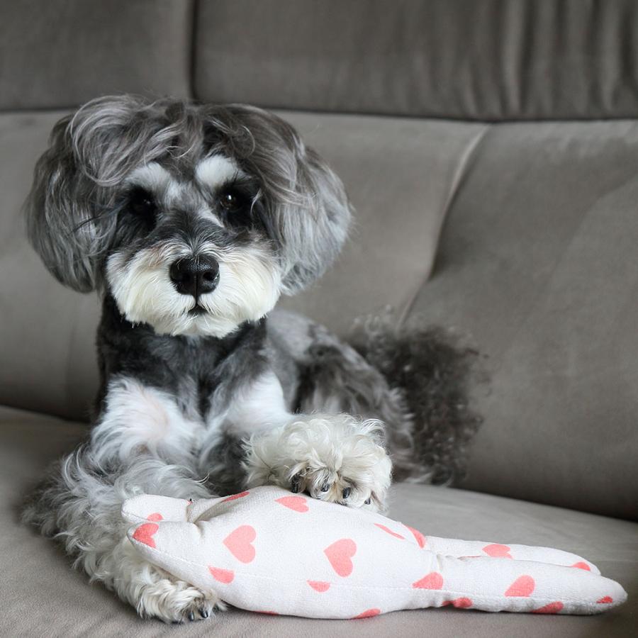 iDog fleur うさたん 鳴き笛入り アイドッグ : iDog - 通販 - Yahoo