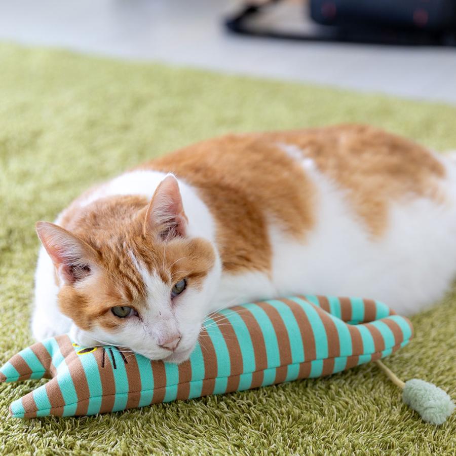 iDog iCat お友達にゃんこ キャットニップ入り アイキャット : iDog