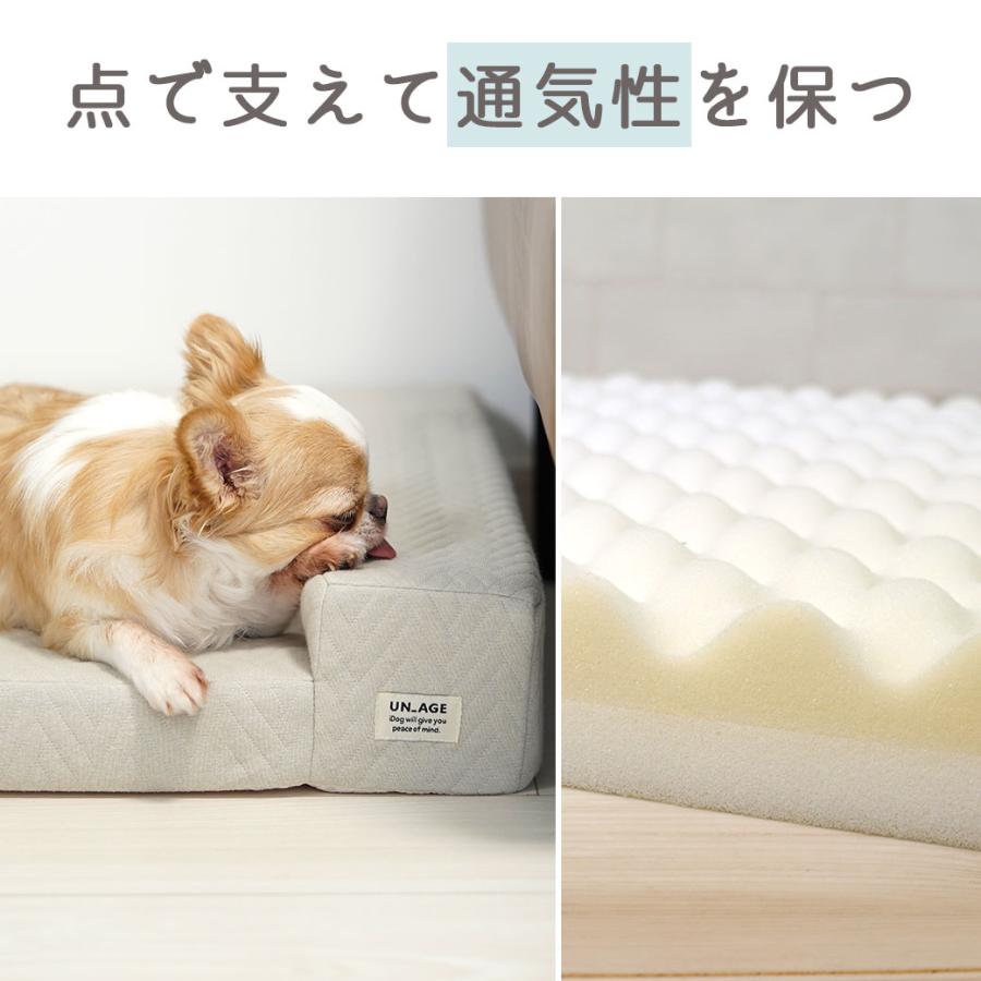 iDog 犬用ベッド UNAGE 体圧分散シニアローベッド カドラー