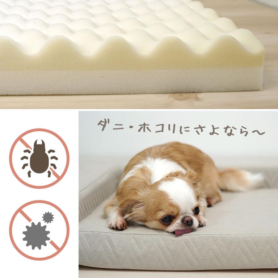 iDog 犬用ベッド UNAGE 体圧分散シニアローベッド カドラー