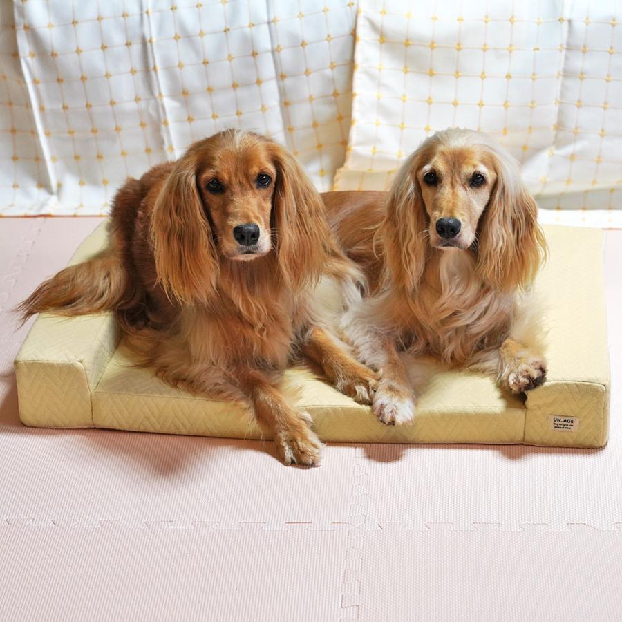 iDog 犬用ベッド UNAGE 体圧分散シニアローベッド カドラー