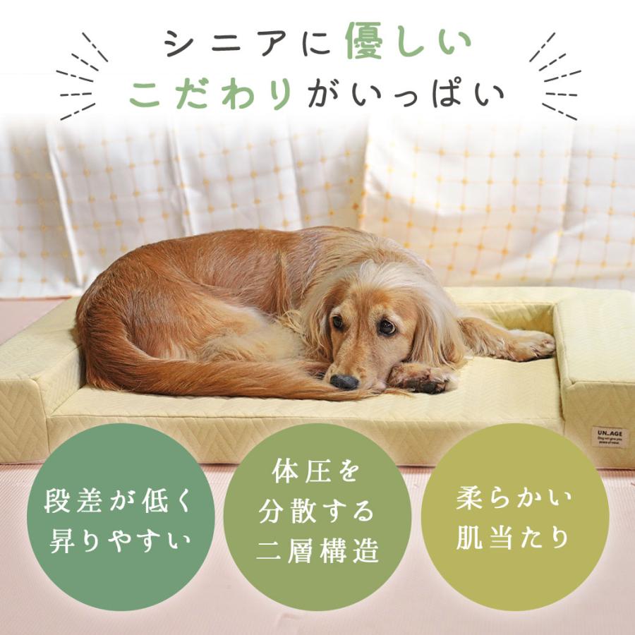 iDog 犬用ベッド UNAGE 体圧分散シニアローベッド カドラータイプ 防水