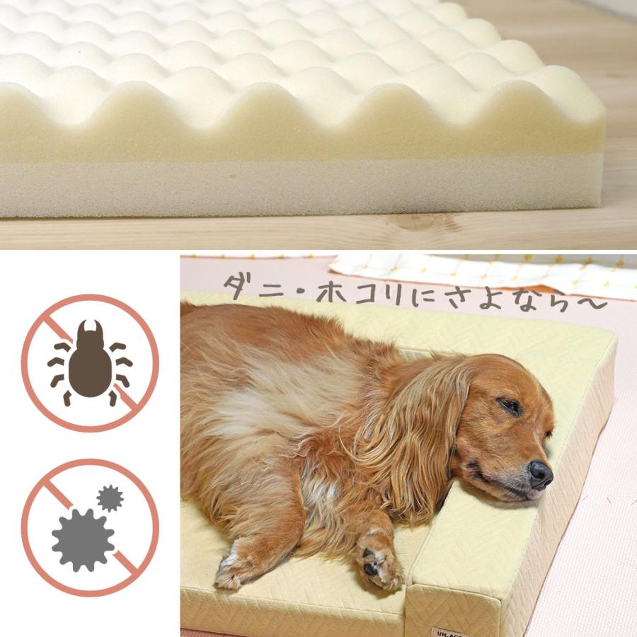 イプヘケ コーティング済 iDog ワンダフルセール 5%OFF 犬用ベッド UNAGE 体圧分散シニア