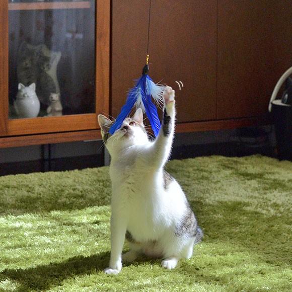 iDog 猫 おもちゃ 猫用品 iCat FLYING CAT 釣りざお猫じゃらし iDog 猫 おもちゃ 猫用品 iCat FLYING CAT 釣りざお猫じゃらし