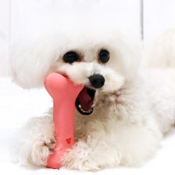 犬用品 Idog ラテックスtoy カミカミボーン メール便ok Rmc Ty080 Idog 通販 Yahoo ショッピング