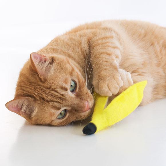 猫用品 Icatoy フェルトのケリケリバナナのかわ キャットニップ入り Rmc Ty114 Idog 通販 Yahoo ショッピング