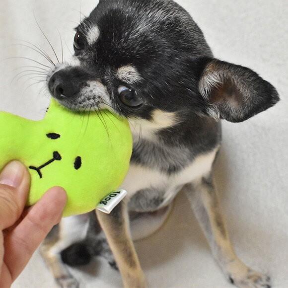 犬用品 Idog コロコロコマメ 鈴入り アイドッグ Rmc Ty135 Idog 通販 Yahoo ショッピング