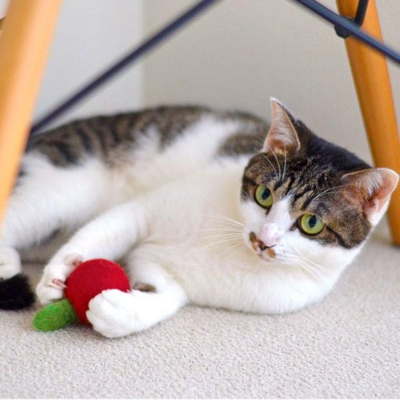 猫用品 Icatoy コロコロフェルトtoy りんご Rmc Ty148 Idog 通販 Yahoo ショッピング