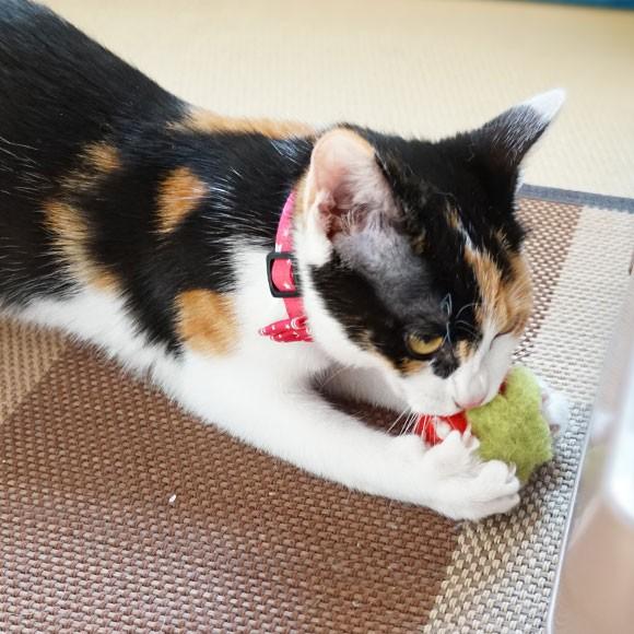 猫用品 Icatoy コロコロフェルトtoy いちご Rmc Ty149 Idog 通販 Yahoo ショッピング