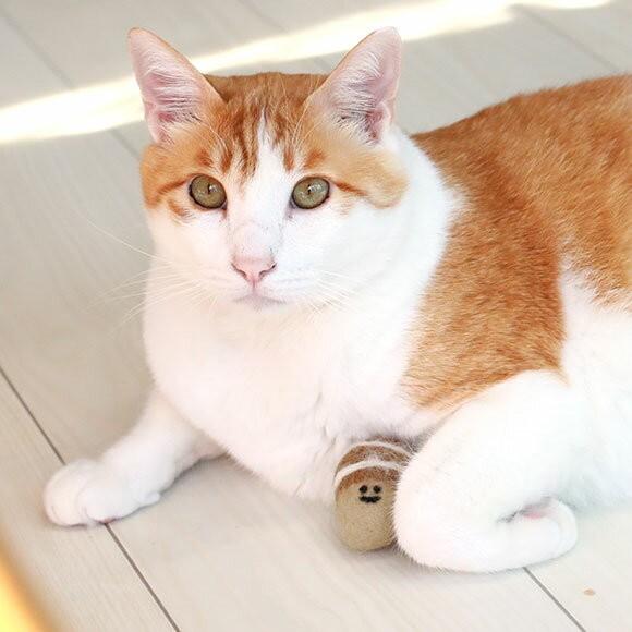 猫用品 Icatoy コロコロフェルトtoy どんぐり Rmc Ty151 Idog 通販 Yahoo ショッピング