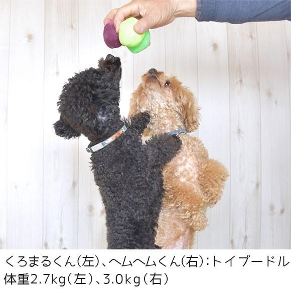 犬用品 Idog Icat コマメブラザーズ 3色セット アイドッグ Rmc Ty153 Idog 通販 Yahoo ショッピング