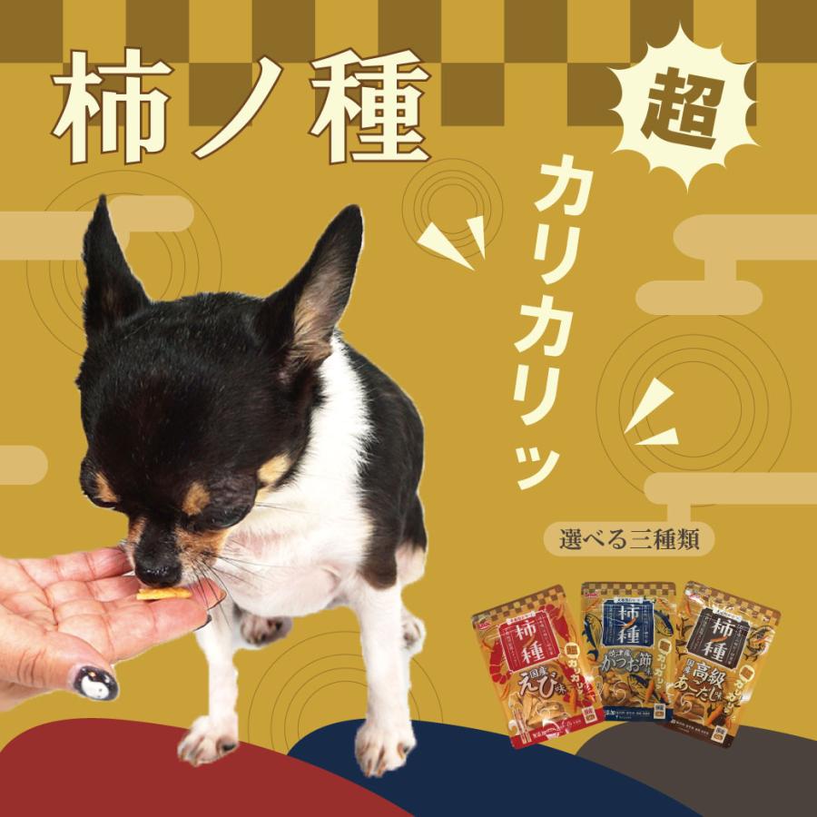 iDog 犬のおやつ ドッグフード スマック 柿ノ種国産えび味 50g : iDog