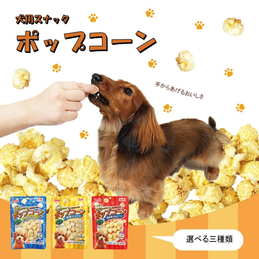iDog ドッグフード スマック/ポップコーン濃厚チェダーチーズ味 10g