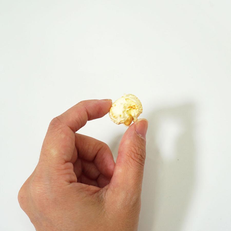 ドッグフード スマック/ポップコーン芳醇バナナ味 10g | iDog | 03