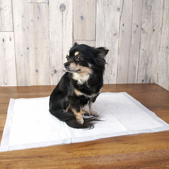 iDog 犬用トイレ用品 厚型 おためし1パック Rest Room 業務用 国産