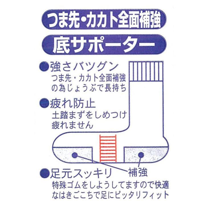 靴下 レディース スクールソックス 日本製 綿混 リブ編み 学生 フィット 通年 日本レッグニット卸商協同組合 AFTER YOU 23-25cm K452029｜idol4970｜02