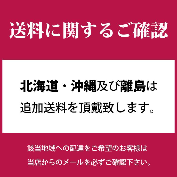 【男女兼用】テイコブ エコノミー上下続き服 パジャマ 綿100% ナイトウェア 介護 入院 認知症 幸和製作所 あすつく 一部地域除き送料無料 W307020 S M L｜idol4970｜08